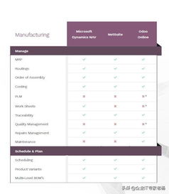 ERP小金剛Pro專業(yè)大比拼 Dynamics 365、NetSuite與Odoo定制化深度解析